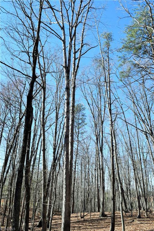 40-ac Eden Church Road Madison, NC 27025 - Photo 22 of 25 More hardwoods