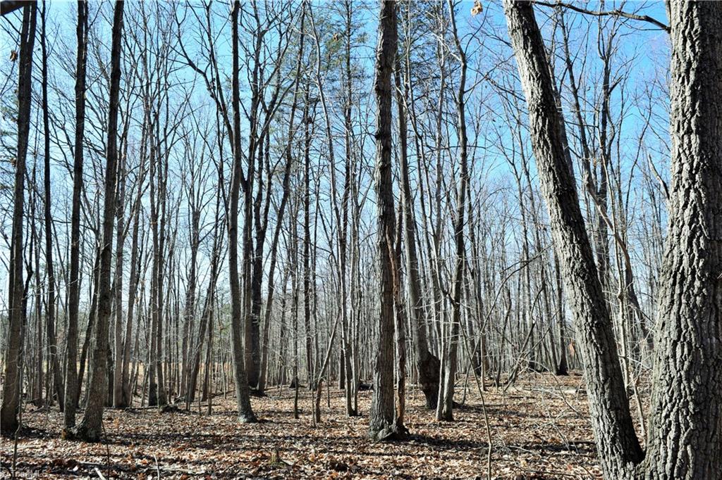 40-ac Eden Church Road Madison, NC 27025 - Photo 23 of 25 Hardwood