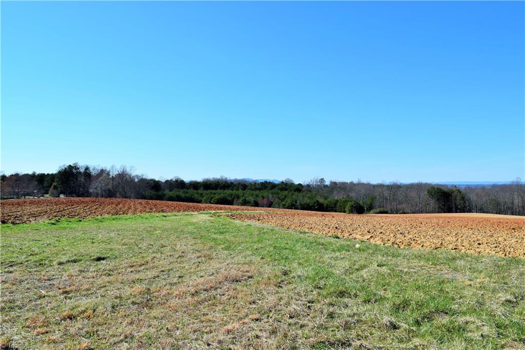 40-ac Eden Church Road Madison, NC 27025 - Photo 4 of 25 Farmed fields