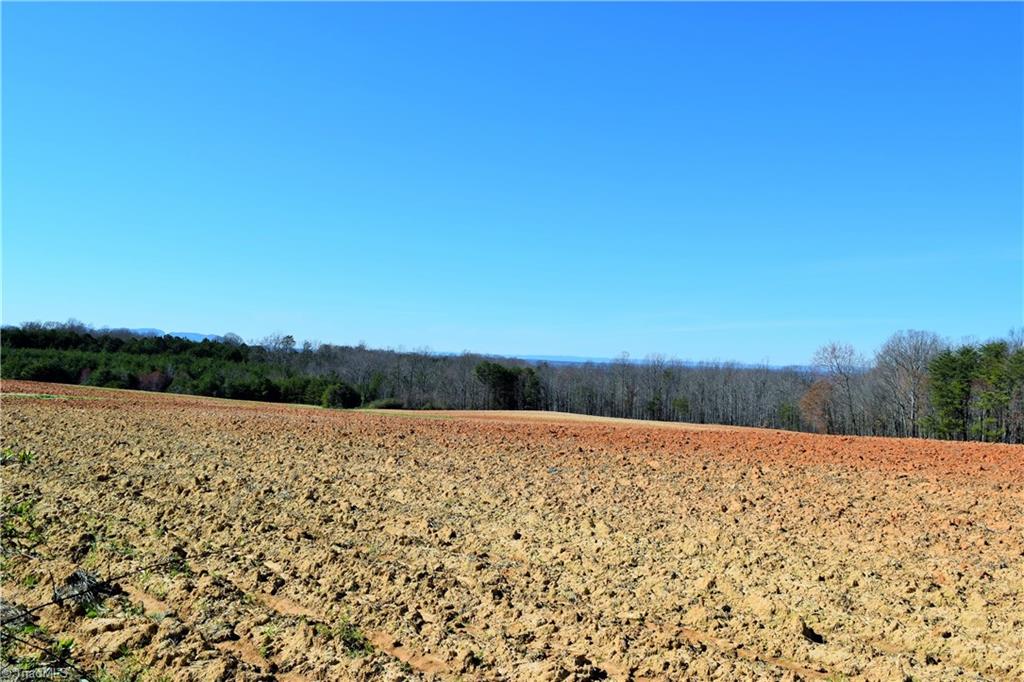 40-ac Eden Church Road Madison, NC 27025 - Photo 5 of 25 Farmed fields