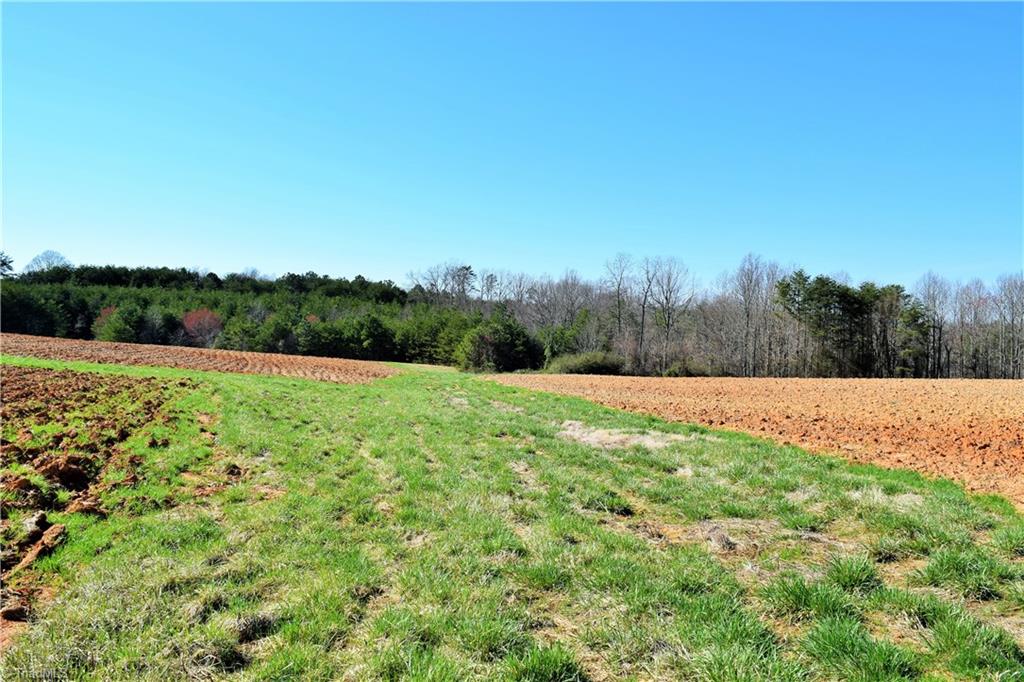 40-ac Eden Church Road Madison, NC 27025 - Photo 6 of 25 Farmed fields