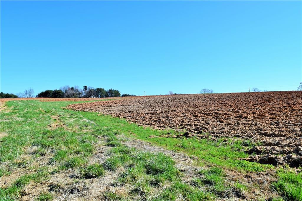 40-ac Eden Church Road Madison, NC 27025 - Photo 7 of 25 Farmed fields