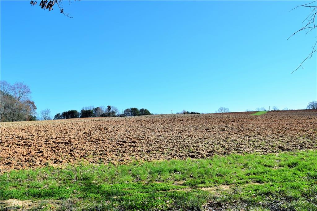 40-ac Eden Church Road Madison, NC 27025 - Photo 8 of 25 Farmed fields