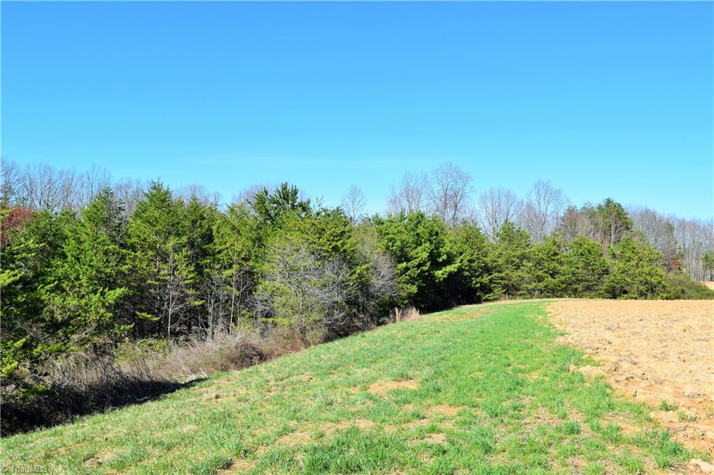 40-ac Eden Church Road Madison, NC 27025 - Photo 9 of 25 Some of land partially wooded
