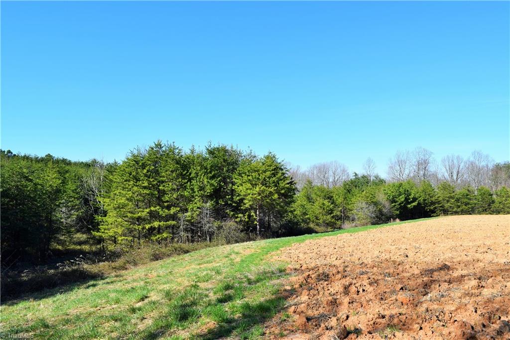 40-ac Eden Church Road Madison, NC 27025 - Photo 10 of 25 Partially wooded