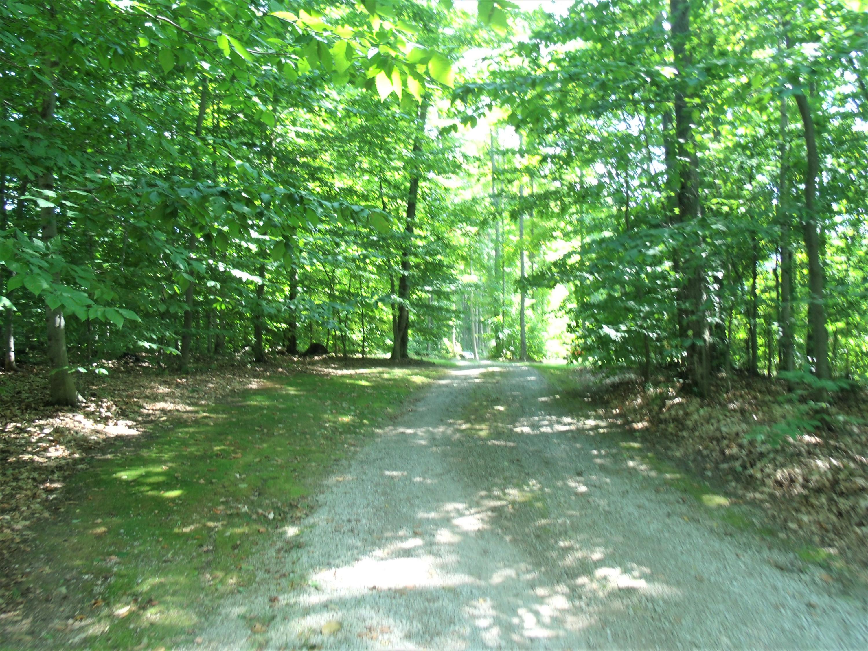 4183 North Ayr Road Alanson, MI 49706 - Photo 9 of 64 Gallery Image 9