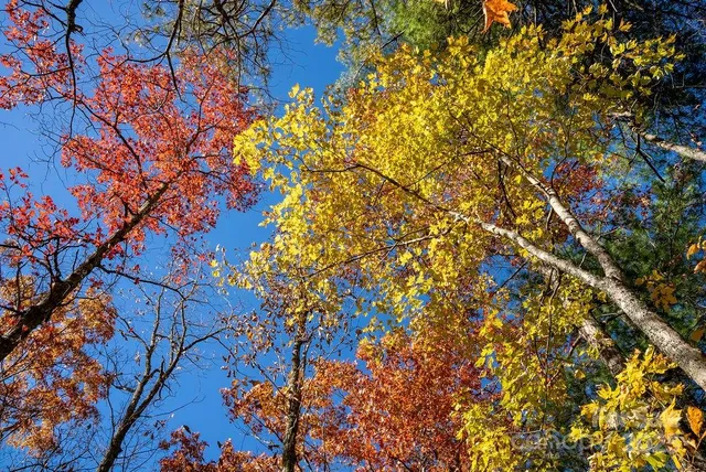 $299,000 | Tbd Morgan Drive, Unit TRACT II, Penrose, NC 28766