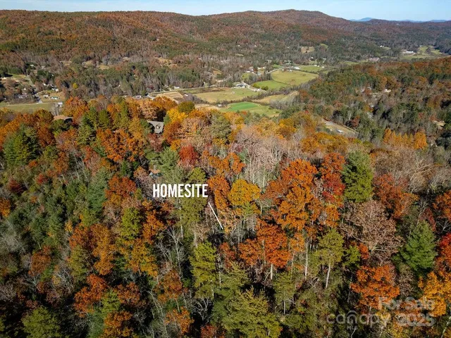 a view of a tree in a yard