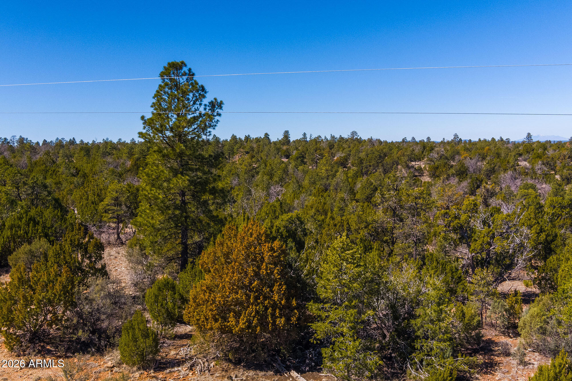 5179 Sunset Ridge Loop, Unit 188 Happy Jack, AZ 86024 - Photo 12 of 32 MAX_0087