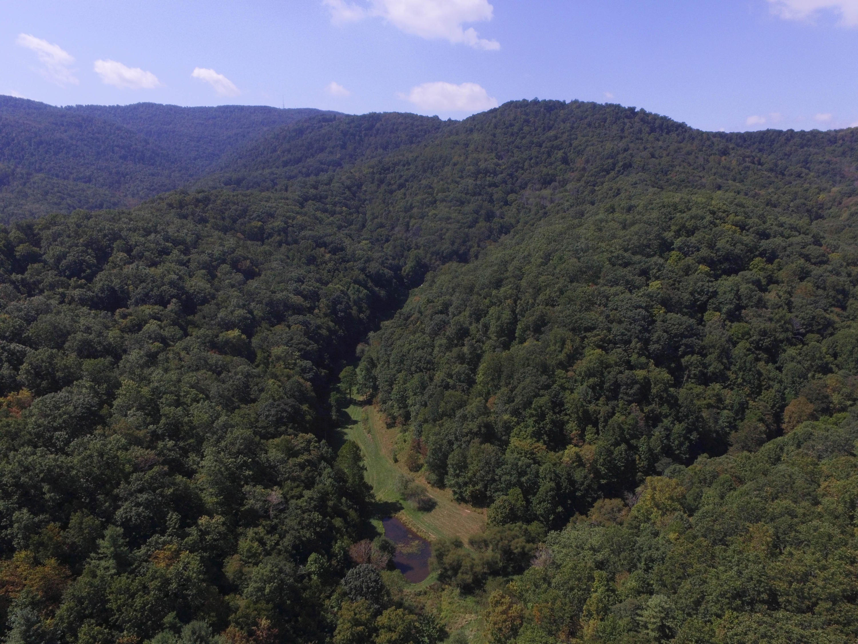 3678 Snake Run Road Alderson, WV 24910 - Photo 117 of 124 Gallery Image 117