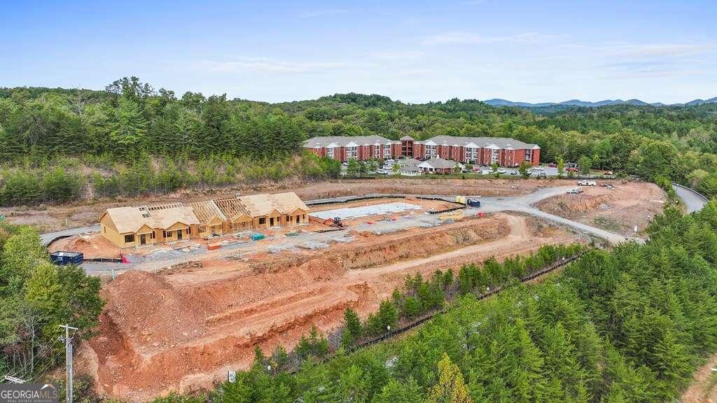0 Grove Loop, Unit 47 Blue Ridge, GA 30513 - Photo 14 of 15 a view of a lake with a mountain in the background
