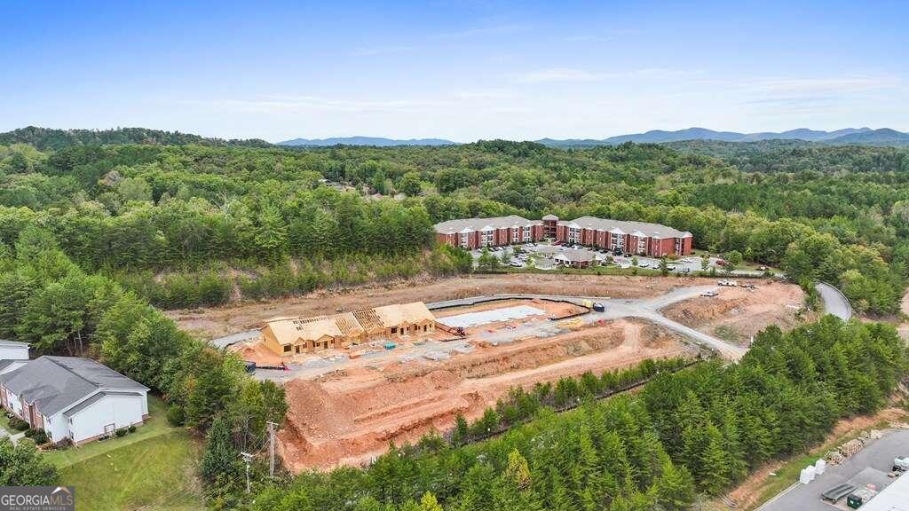 0 Grove Loop, Unit 47 Blue Ridge, GA 30513 - Photo 3 of 15 a view of a lake with a mountain in the background