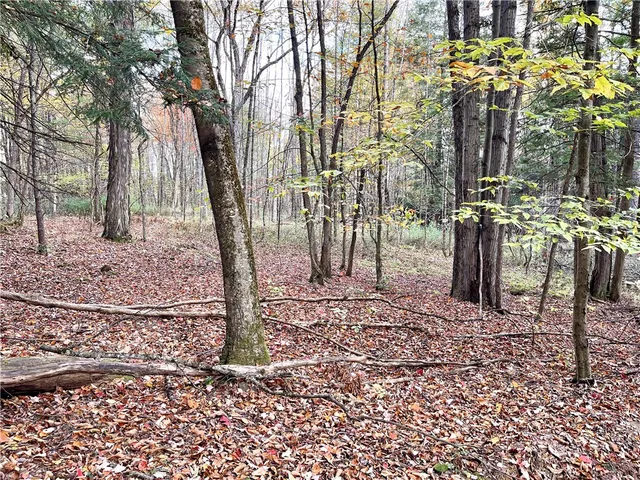 $124,000 | 3 County Highway, Unadilla, NY 13849