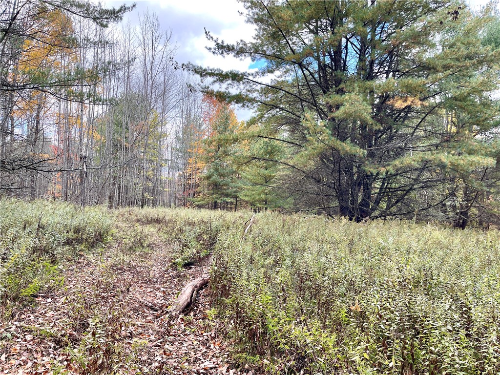 3 County Highway Unadilla, NY 13849 - Photo 14 of 19