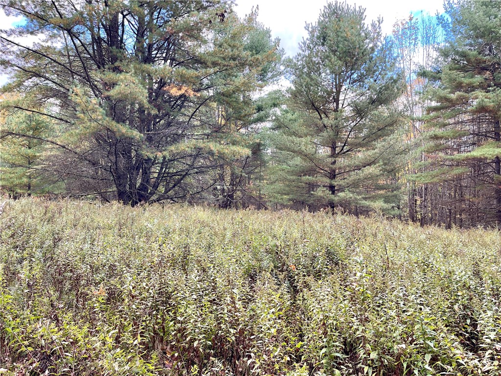 3 County Highway Unadilla, NY 13849 - Photo 15 of 19