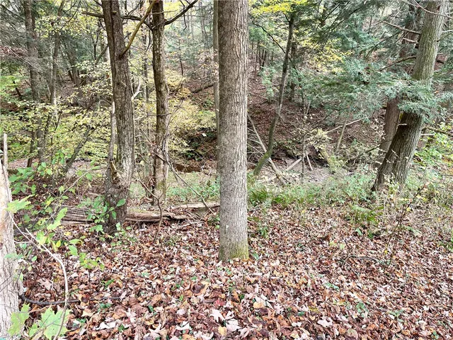 $124,000 | 3 County Highway, Unadilla, NY 13849