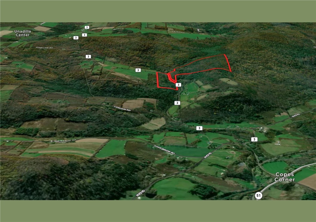 3 County Highway Unadilla, NY 13849 - Photo 3 of 19