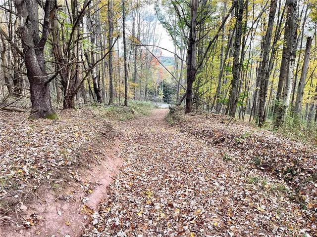 $124,000 | 3 County Highway, Unadilla, NY 13849