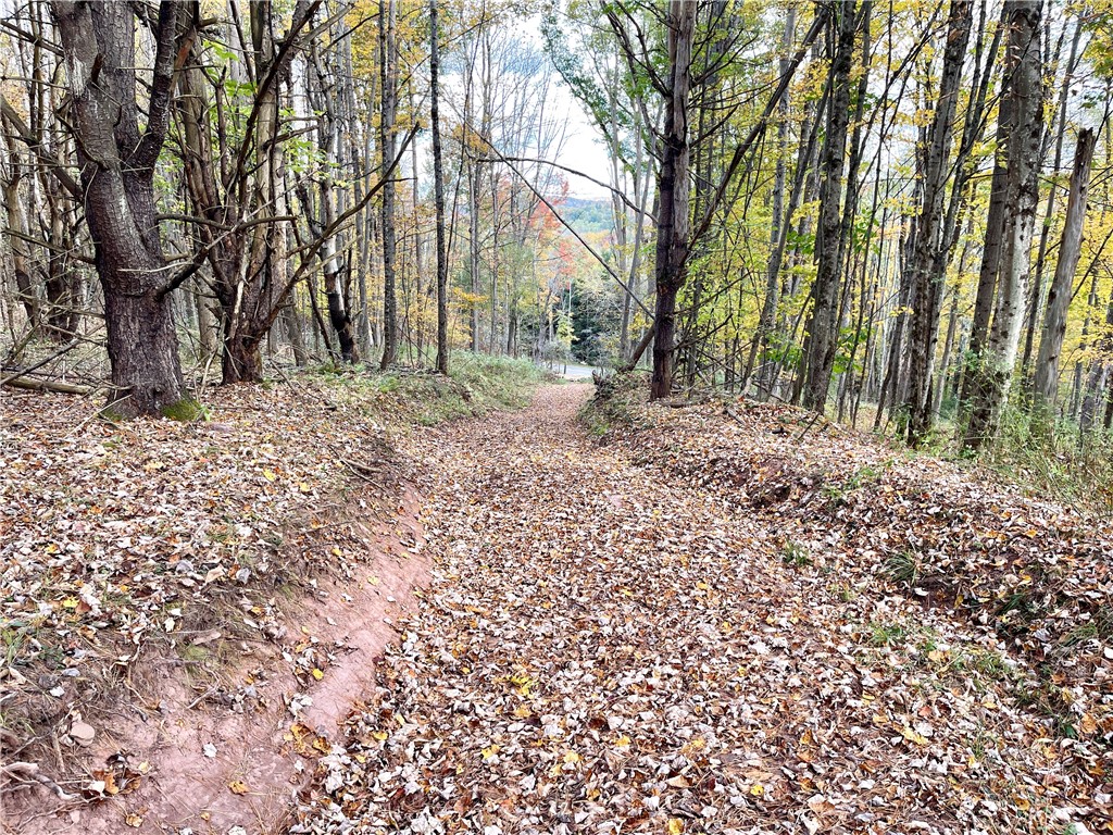 3 County Highway Unadilla, NY 13849 - Photo 7 of 19