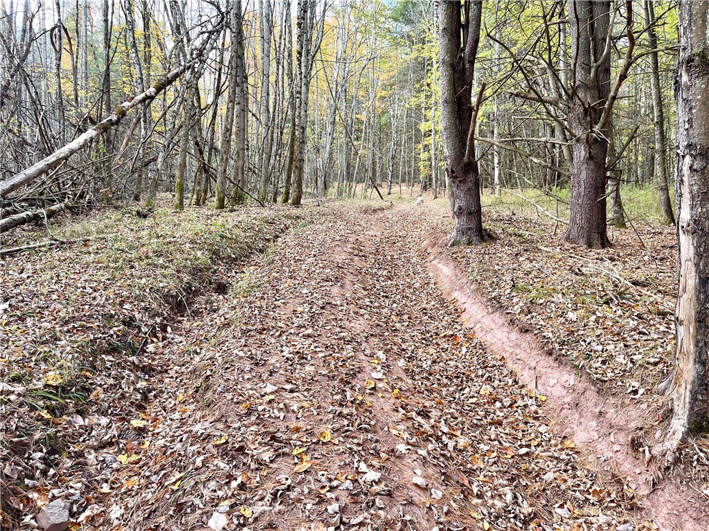 3 County Highway Unadilla, NY 13849 - Photo 9 of 19