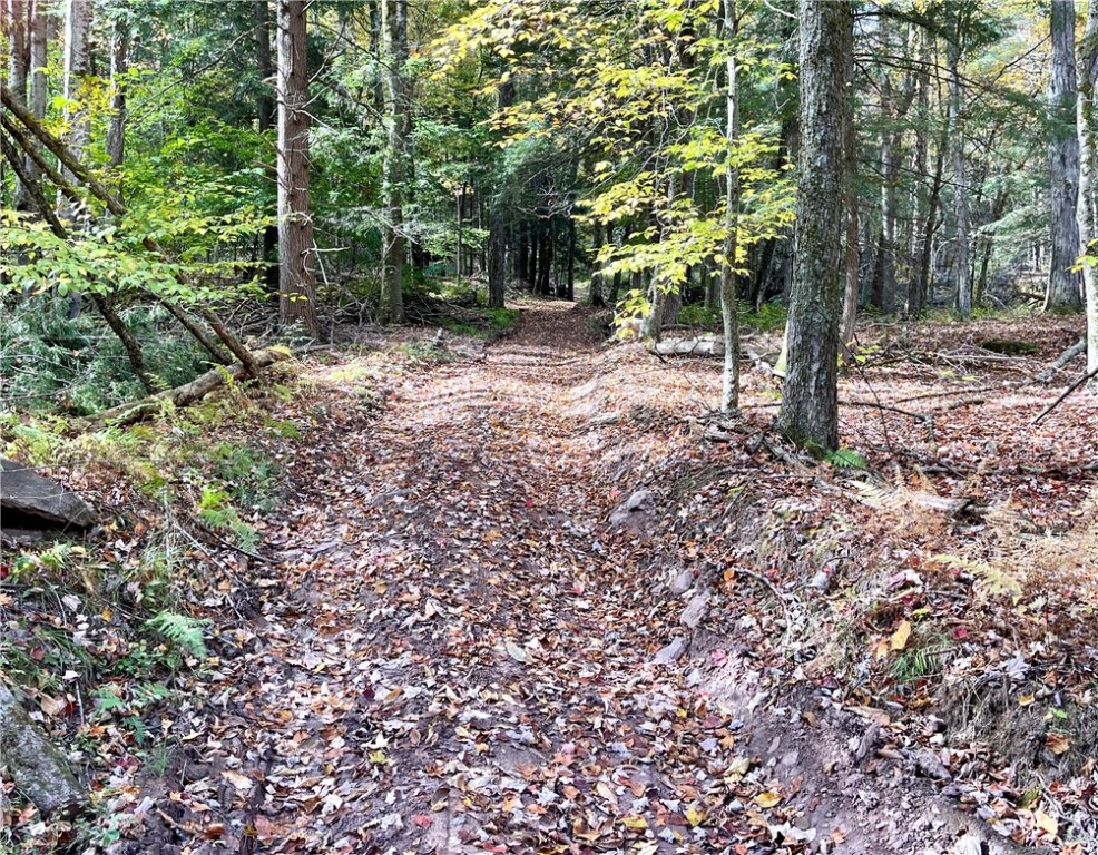 3 County Highway Unadilla, NY 13849 - Photo 10 of 19