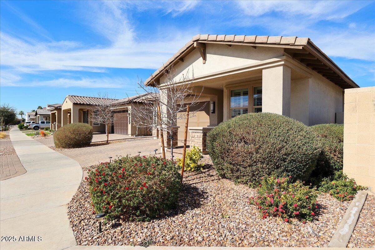 3890 East Dublin Street Gilbert, AZ 85295 - Photo 24 of 26 03-Right Side of Home