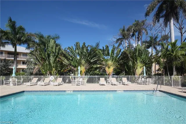 a view of a swimming pool with a lawn chairs and palm tree