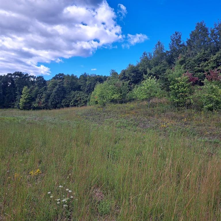 0 Chicora Road Karns City, PA 16041 - Photo 11 of 32 Grazing for horses