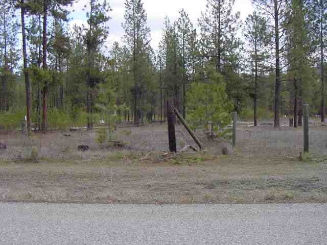 5591 Corkscrew Canyon Road Tumtum, WA 99034 - Photo 3 of 4 Gallery Image 3