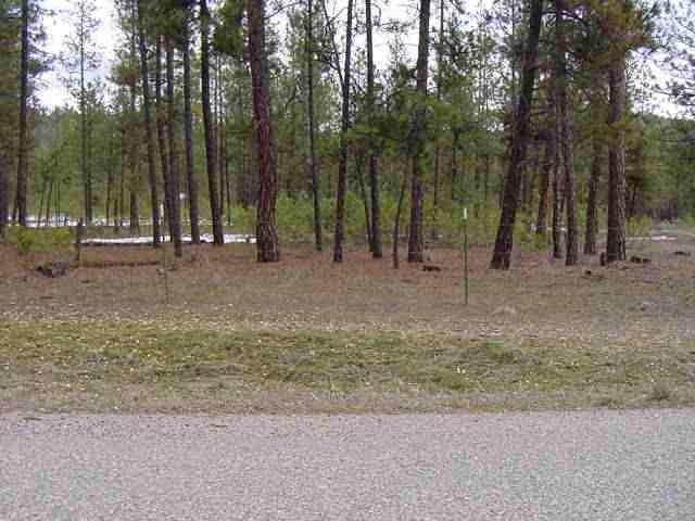 5591 Corkscrew Canyon Road Tumtum, WA 99034 - Photo 4 of 4 Gallery Image 4