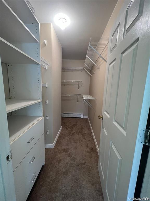 169 Cedar Cliff Road Monroe, NY 10950 - Photo 9 of 14 a view of walk in closet