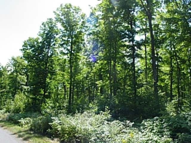 Lot 2 Flowage Road Park Falls, WI 54552 - Photo 4 of 9 Gallery Image 4