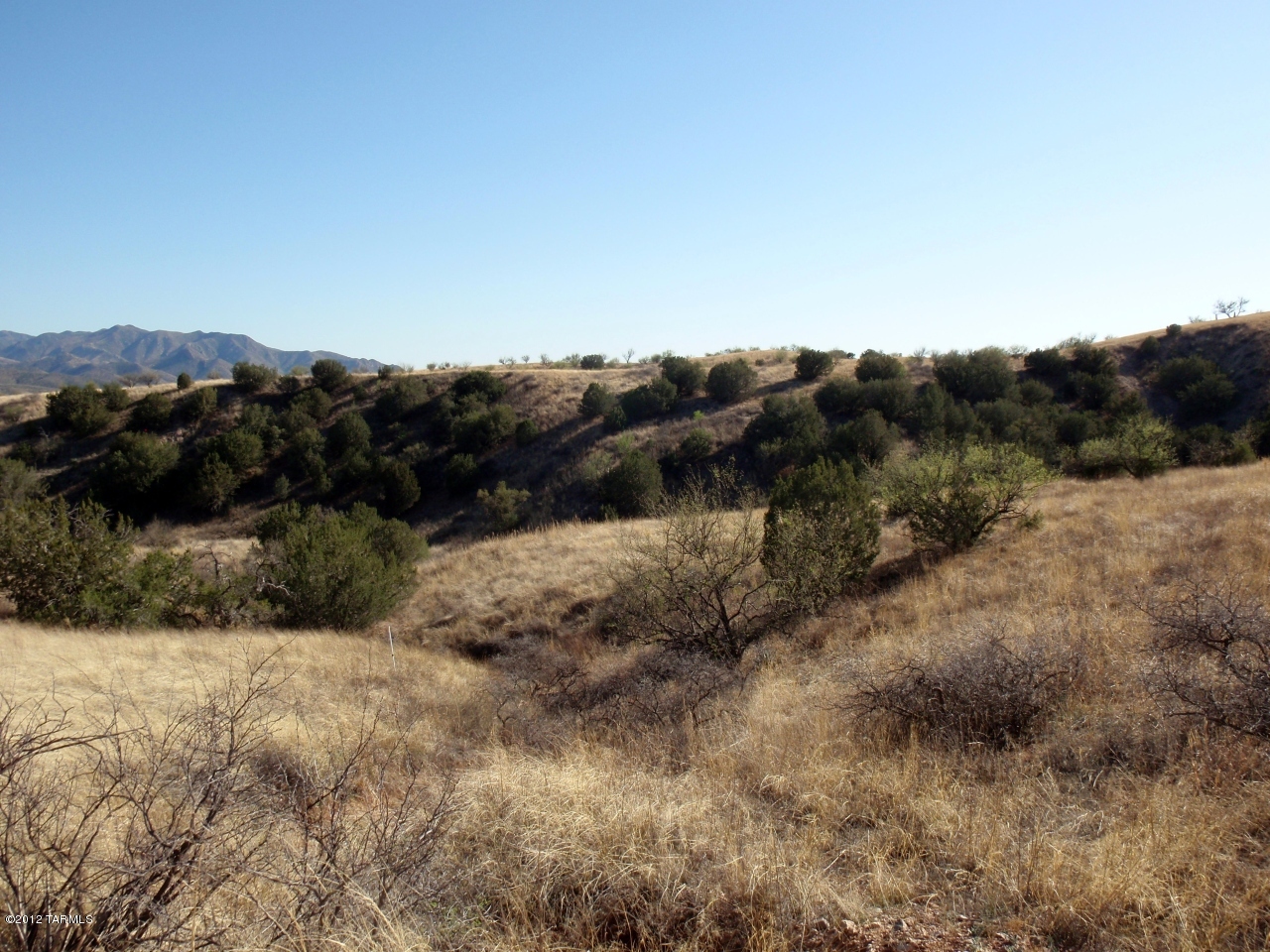 0 Temporal Road, Unit 1 Patagonia, AZ 85624 - Photo 15 of 19