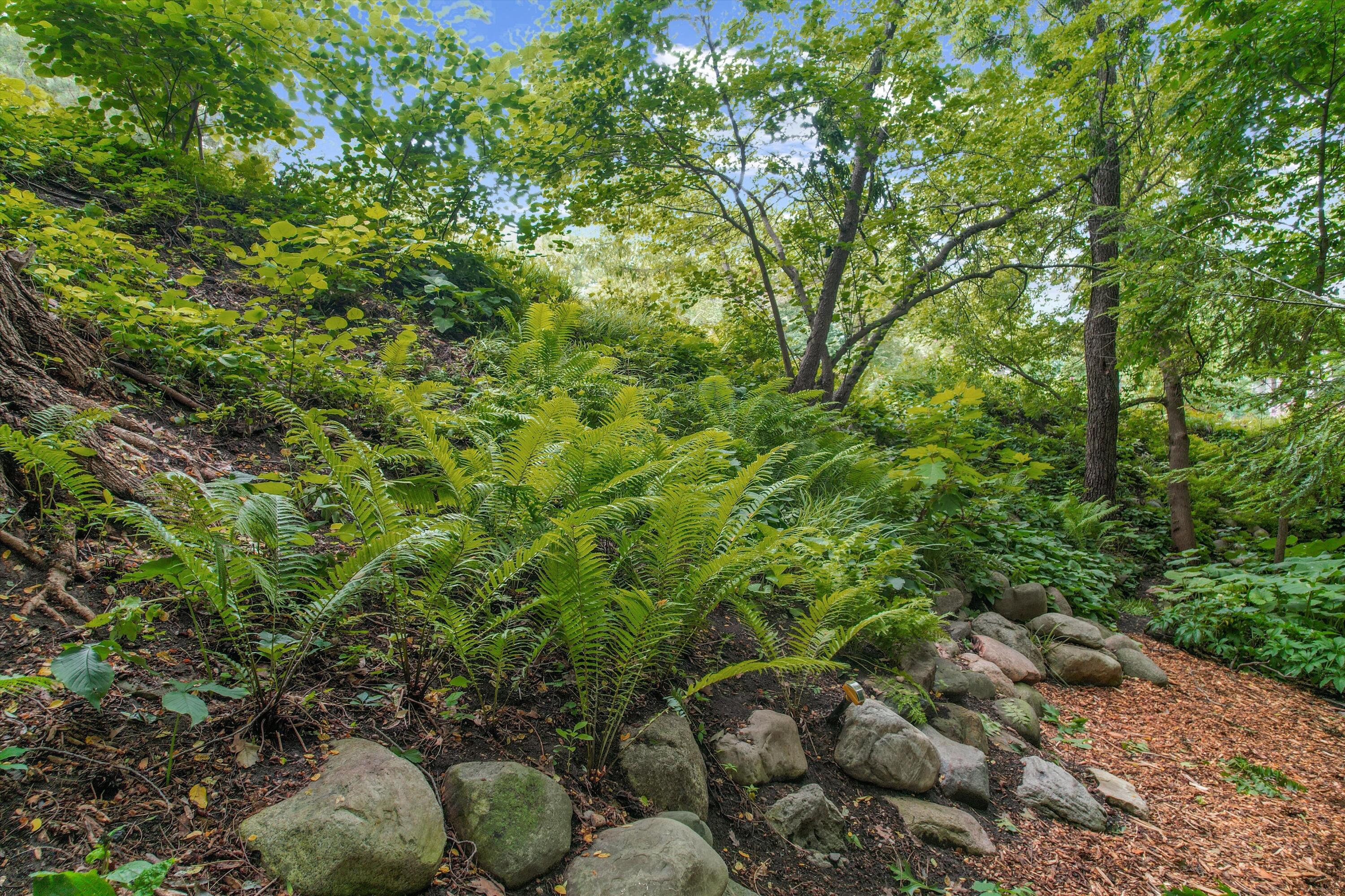 815 Green Road Ann Arbor, MI 48105 - Photo 75 of 85 815 Green Road