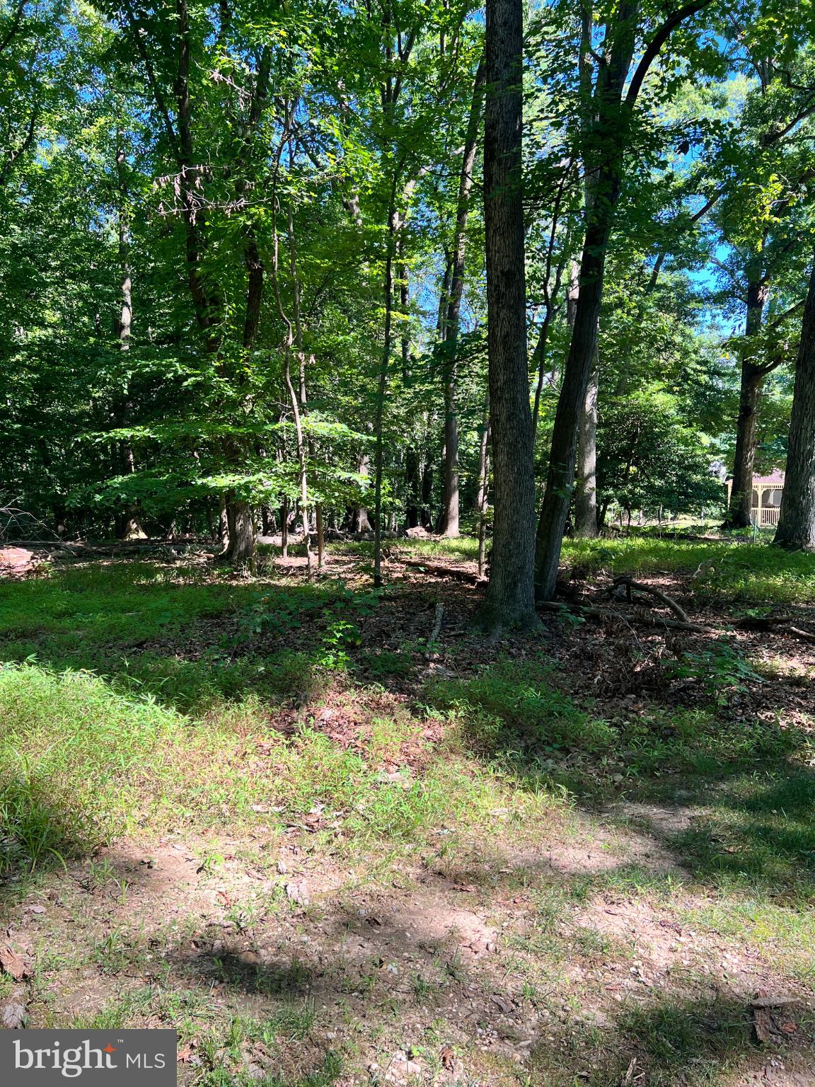 12955 Old Fort Road Fort Washington, MD 20744 - Photo 7 of 11 Serene woodland retreat awaits you.