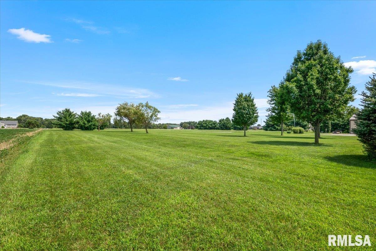8515 Cardinal Hill Road Rochester, IL 62563 - Photo 38 of 80 Gallery Image 38