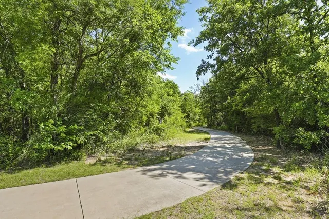 a view of a yard with plants and trees