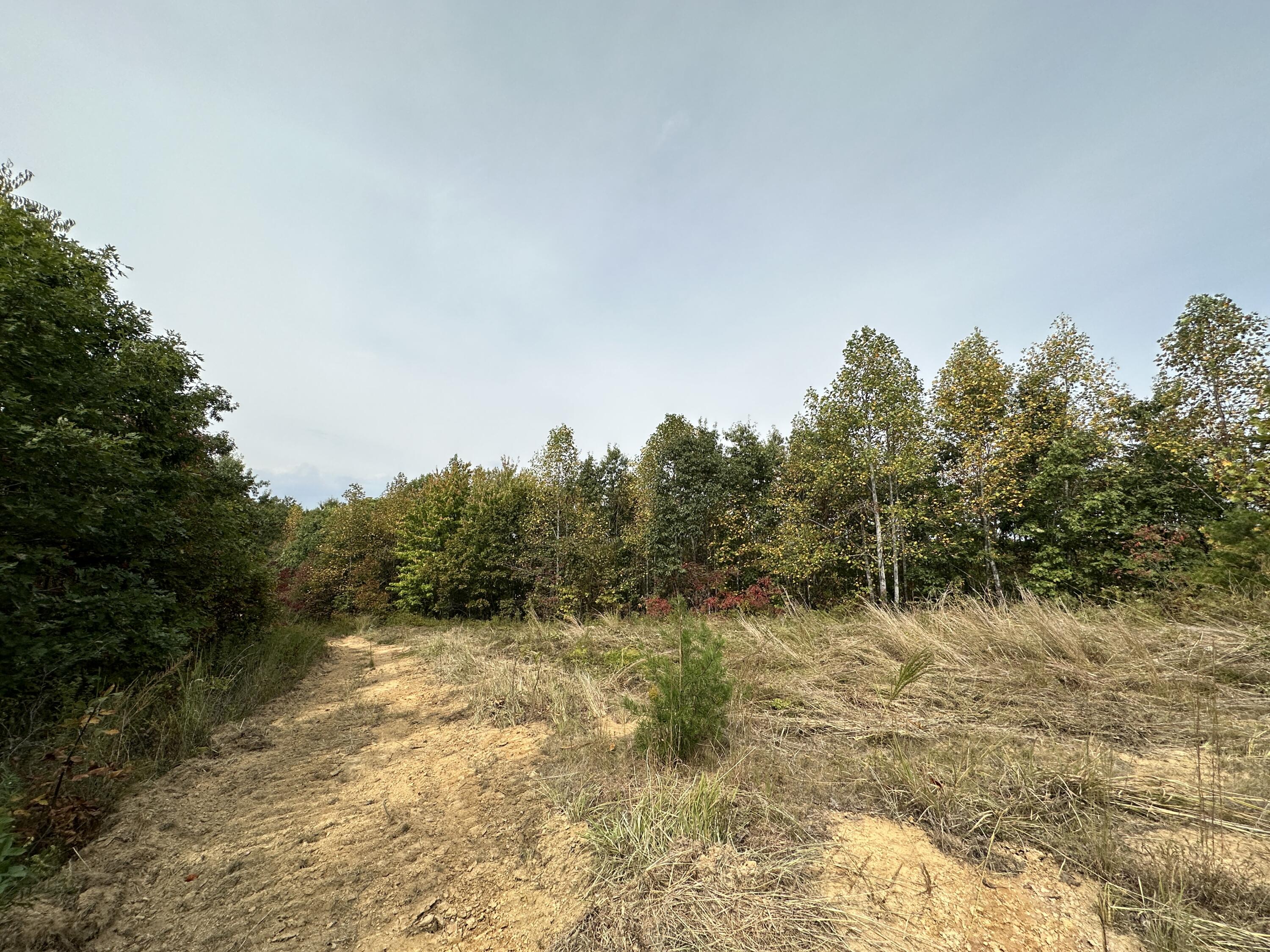 3 Williams Creek Road Rush, KY 41168 - Photo 10 of 27 9