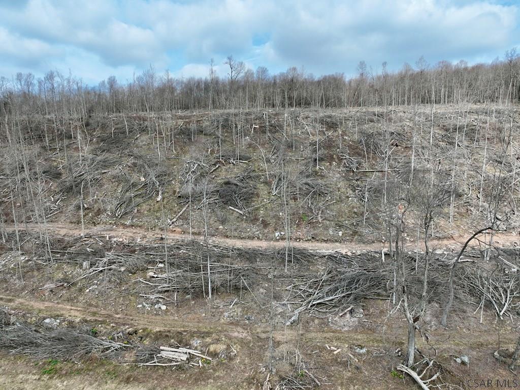 1250 Piney Run Road Salisbury, PA 15558 - Photo 21 of 30