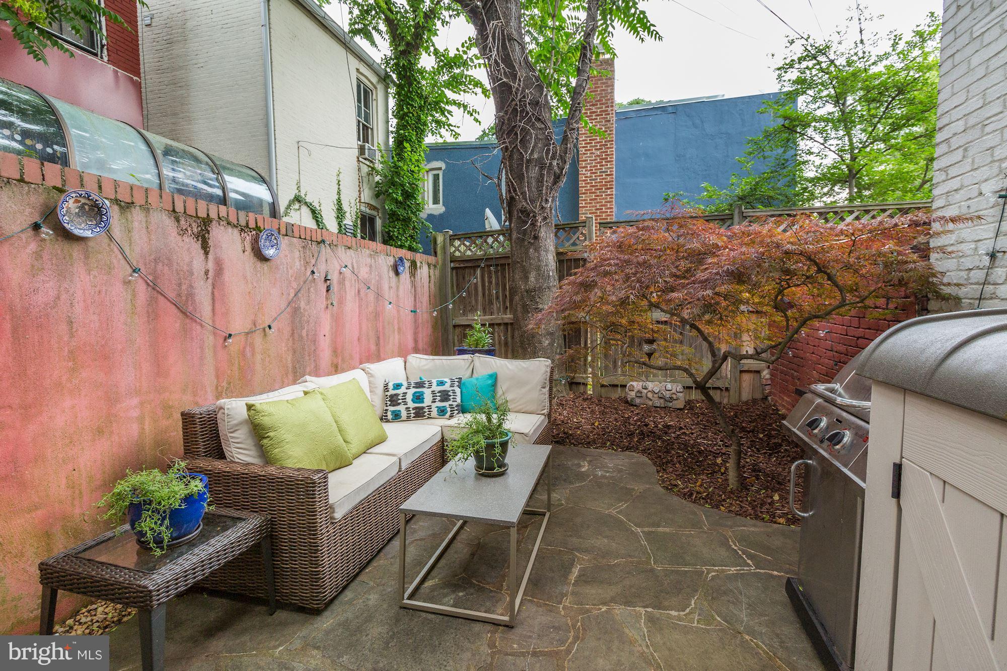 1102 C Street Southeast Washington, DC 20003 - Photo 21 of 27 Charming rear path with maple tree