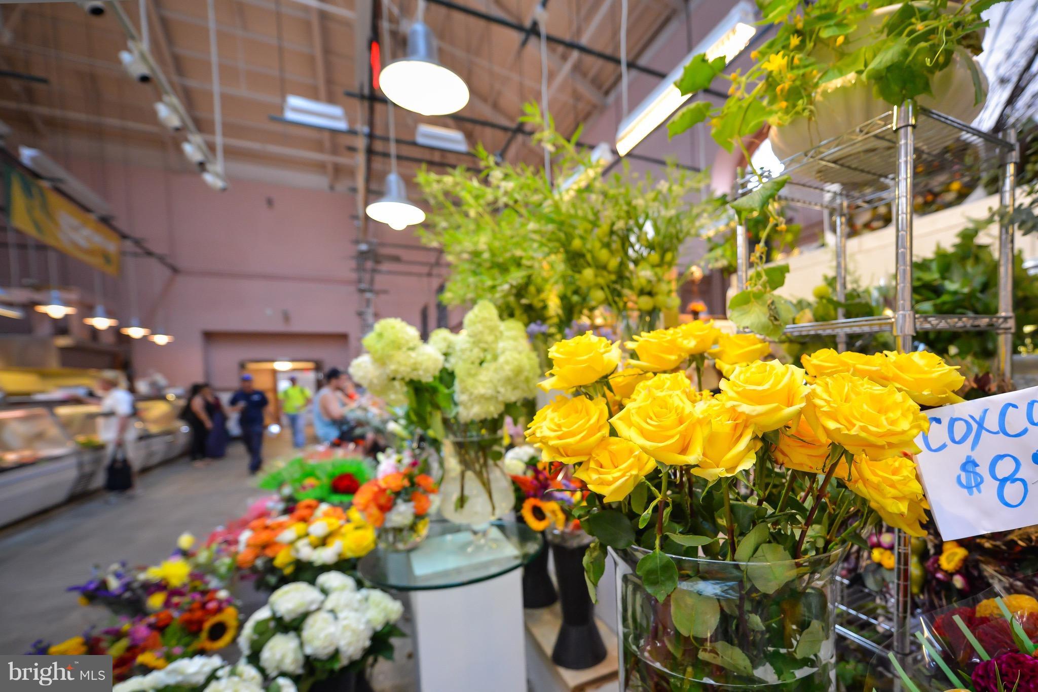 1102 C Street Southeast Washington, DC 20003 - Photo 26 of 27 Community