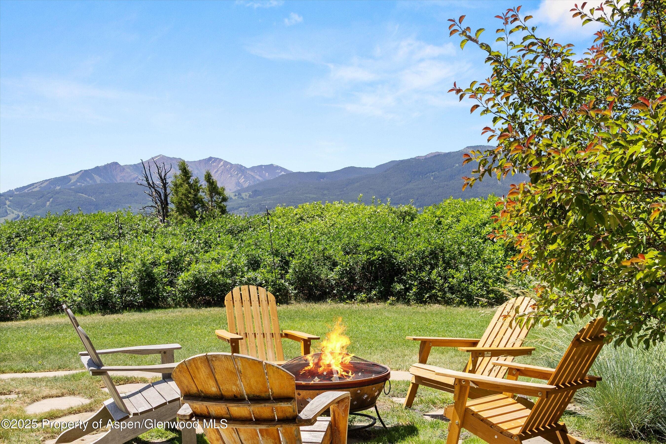 2908 Juniper Hill Road Aspen, CO 81611 - Photo 4 of 43 Firepit with Views