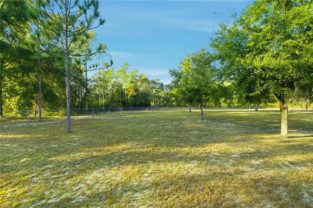 a view of a park with trees