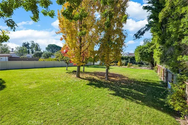 a view of a park with large trees