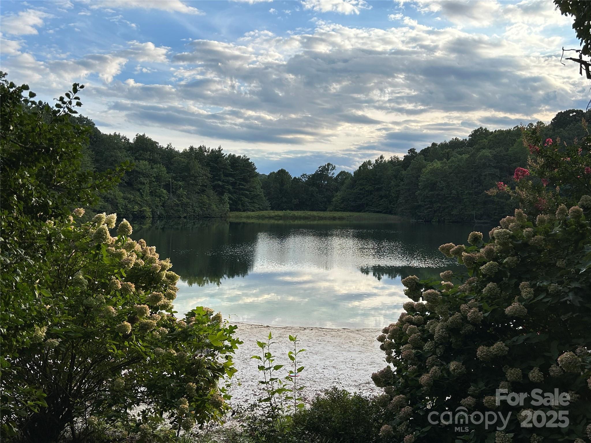545 Summit Road Tryon, NC 28782 - Photo 24 of 26 Gallery Image 24