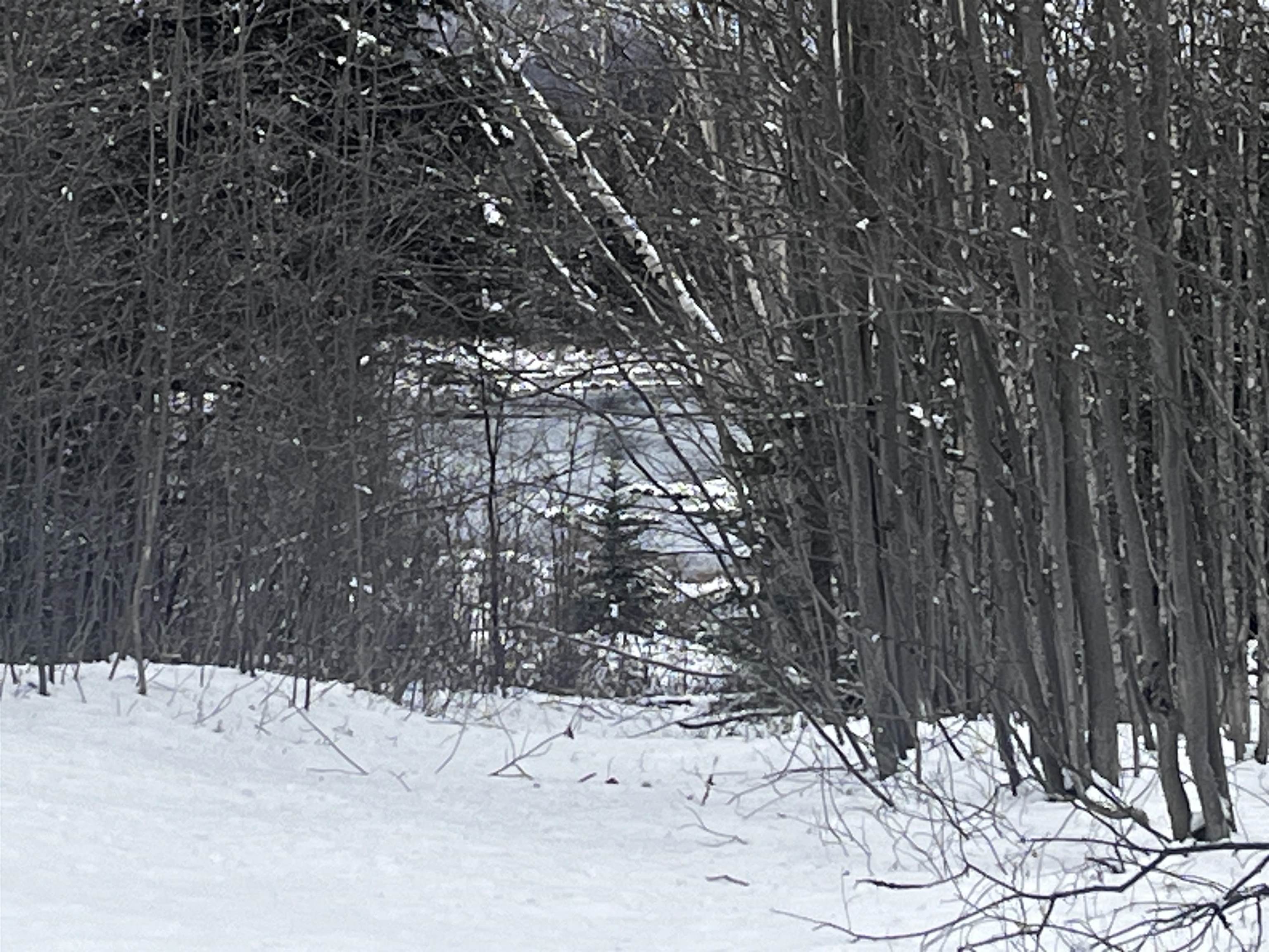 2872 Balance Rock Road Westfield, VT 05874 - Photo 5 of 22