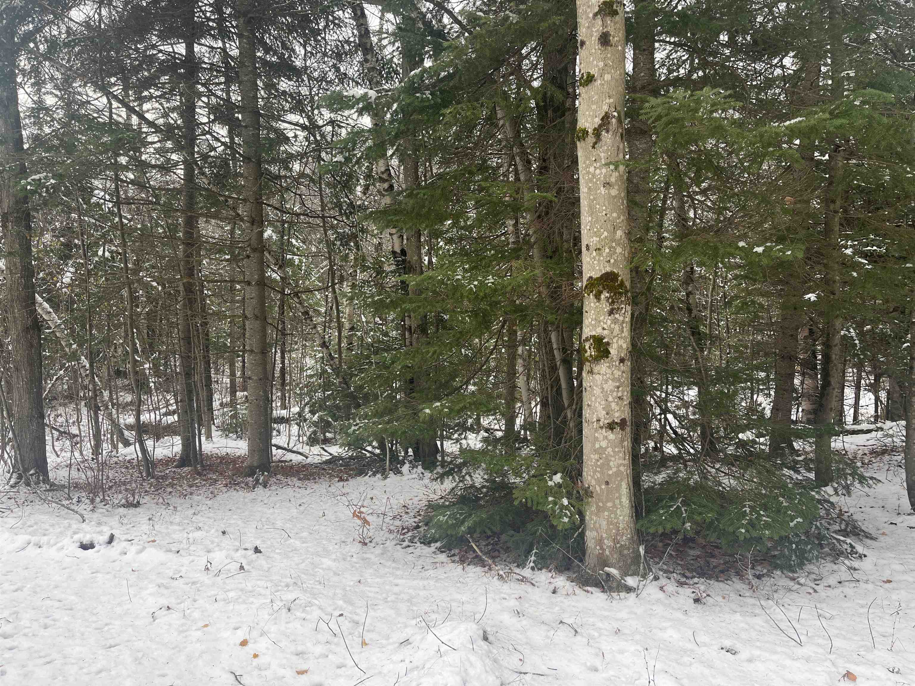 2872 Balance Rock Road Westfield, VT 05874 - Photo 6 of 22