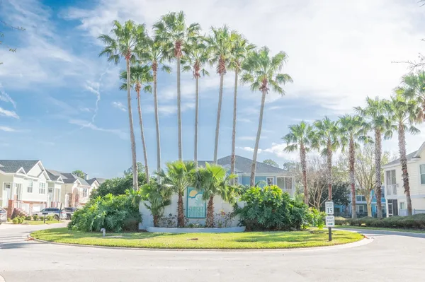a view of a fountain in a yard with palm trees