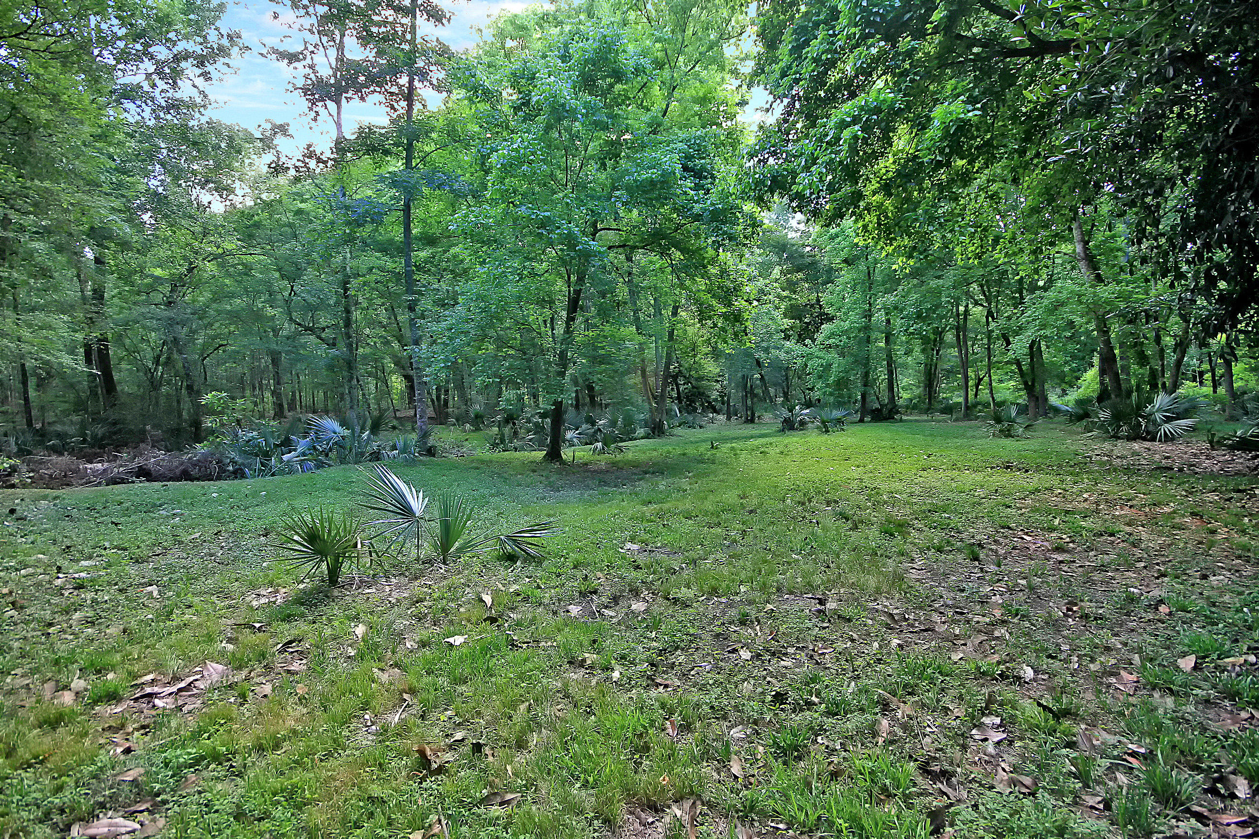 5197 Kuzia Road Meggett, SC 29449 - Photo 65 of 71 IMG_1008 copy