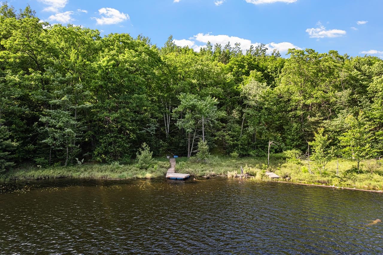 N9059 Hollander Road Gleason, WI 54435 - Photo 4 of 58
